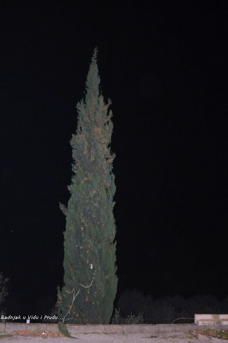 (03)