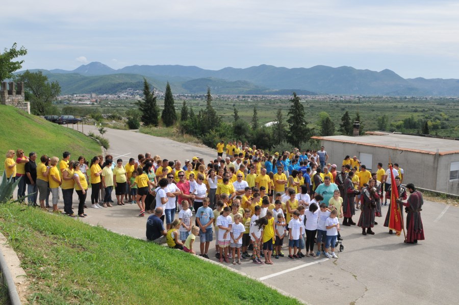 (29)